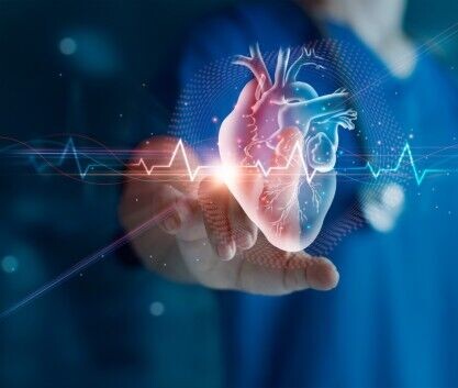 Computer graphic of a heart to illustrate Cardiovascular disease