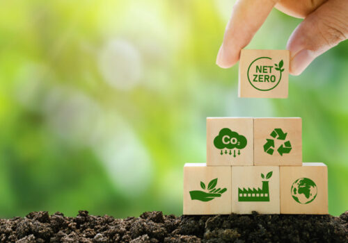 How this PCN supported GP practices to become more sustainable