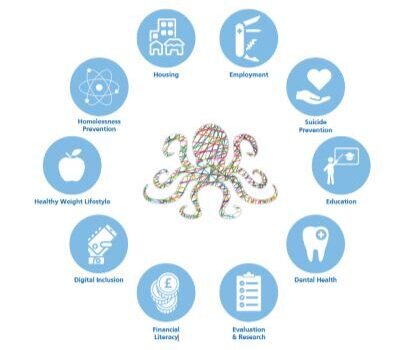 How an octopus inspired integrated working